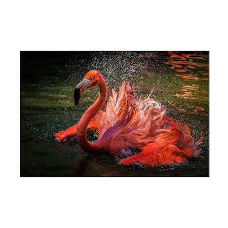 David H Yang 'Angry Flamingo' Canvas Art, 12x19